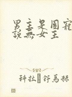 男主是团宠的小说无女主