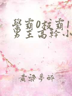 学霸0校霸1双男主高干小说免费阅读