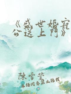 《盛世婚宠:老公送上门》小说