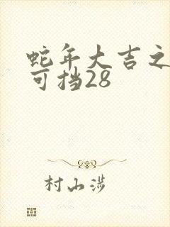 蛇年大吉之婚不可挡28