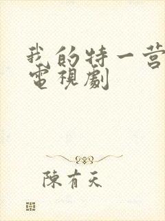 我的特一营完整电视剧