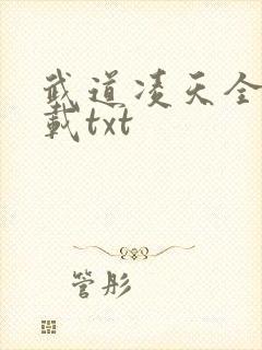 武道凌天全本下载txt