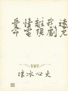 爱情离我远得要命电视剧免费观看