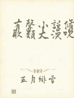 有声小说修真界败类大漠吹来的风