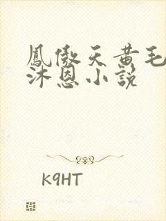 凤傲天黄毛反派沐恩小说