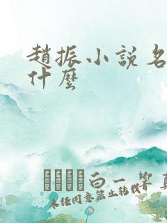 赵振小说名字是什么