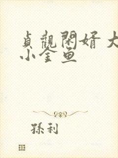 贞观闲婿 大眼小金鱼