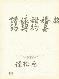 错嫁甜婚 总裁的契约妻