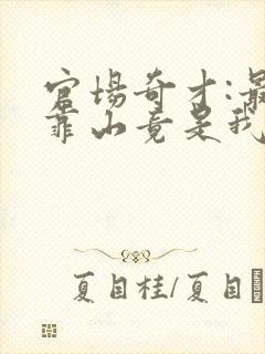 官场奇才:最强靠山竟是我自己李澜全本阅