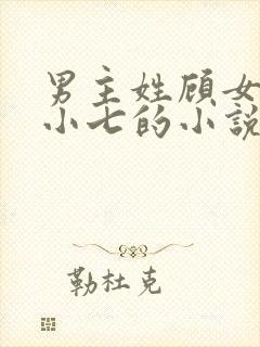 男主姓顾女主叫小七的小说