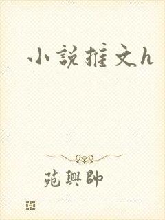 小说推文h