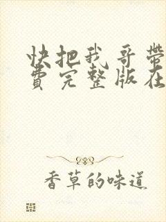 快把我哥带走免费完整版在线观看