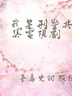 我是刑警共多少集电视剧