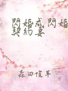 闪婚成闪婚总裁契约妻