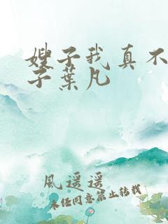 嫂子我真不是傻子叶凡