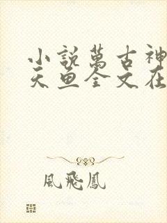 小说万古神帝飞天鱼全文在线阅读