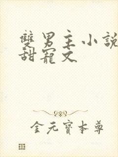 双男主小说推荐甜宠文