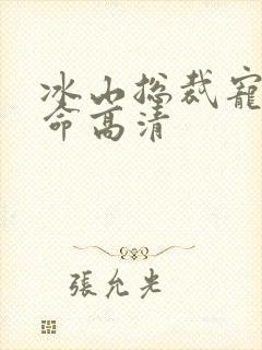 冰山总裁宠妻如命高清