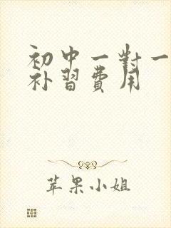 初中一对一数学补习费用