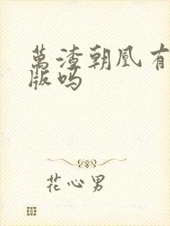 万渣朝凰有小说版吗