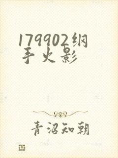 179902纲手火影