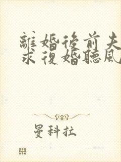 离婚后前夫哭着求复婚听风说雾正版