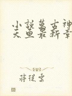 小说万古神帝飞天鱼最新章节列表最