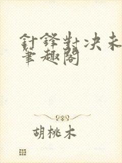 针锋对决未删减笔趣阁