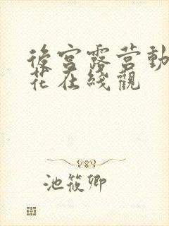 后宫露营动漫樱花在线观