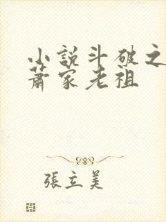 小说斗破之我乃萧家老祖