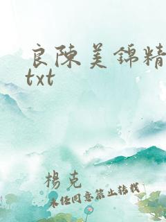 良陈美锦精校版txt
