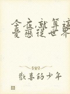 今夜,就算这份爱恋从世界消失