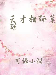天才相师叶天小说