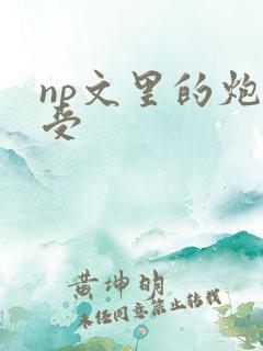 np文里的炮灰受