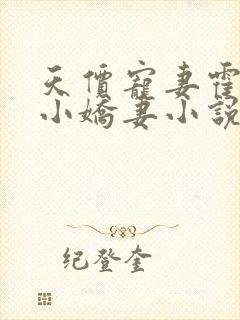 天价宠妻霍总的小娇妻小说