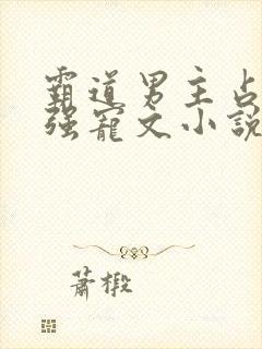 霸道男主占有欲强宠文小说