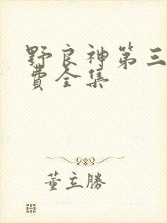 野良神第三季免费全集