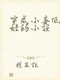 穿成小妾低调养娃的小说