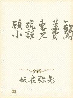 顾砚东叶知安的小说免费阅读全文