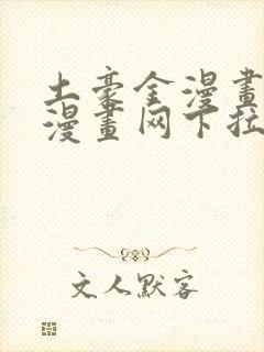 土豪金漫画免费漫画网下拉式