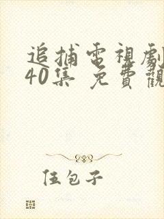 追捕电视剧 共40集 免费观看