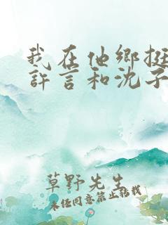 我在他乡挺好的许言和沈子畅结局