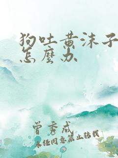 狗吐黄沫子粘液怎么办