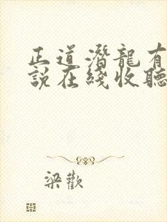 正道潜龙有声小说在线收听