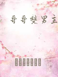 哥哥双男主小说