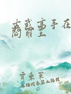 古武高手在都市阎罗王