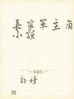 长宁军主角宁川小说