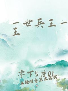 一世兵王一生兵王