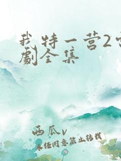 我特一营2电视剧全集