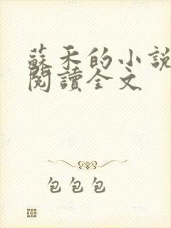 苏禾的小说免费阅读全文